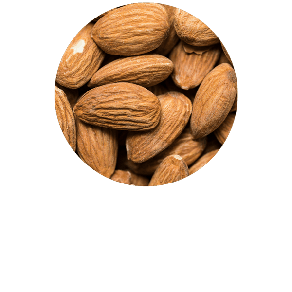 Sweet Almond Organic