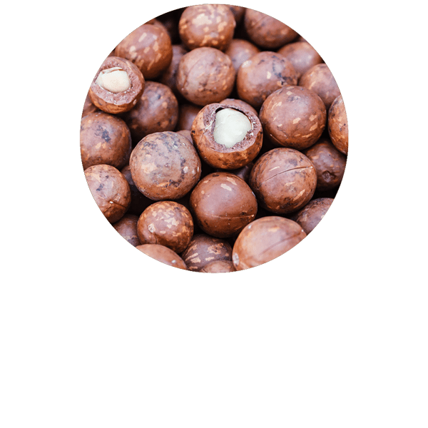 Macadamia Organic