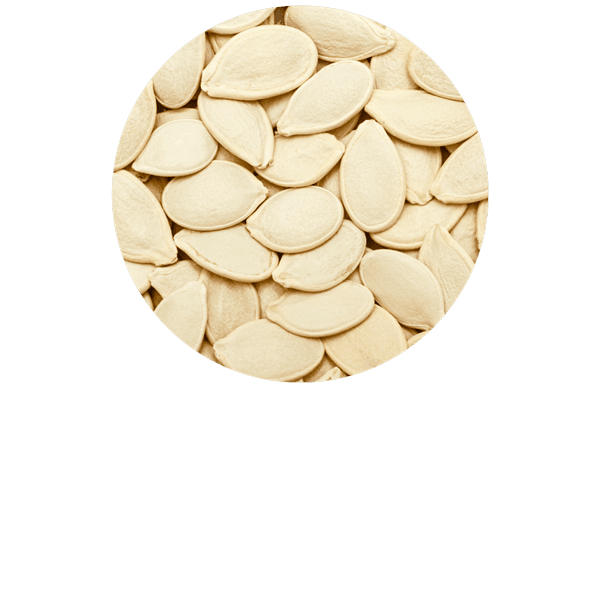 Pumpkin Seed Organic
