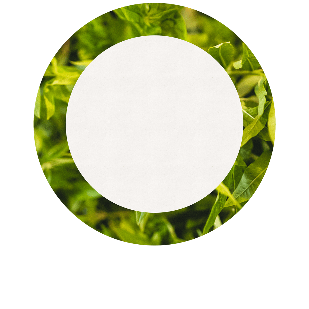 Gel douche citron & verveine