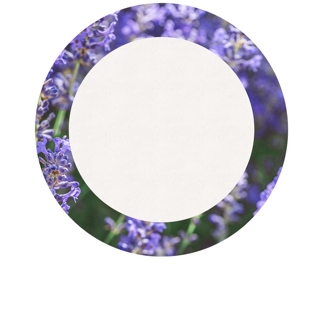 Wild Lavender Shower Gel