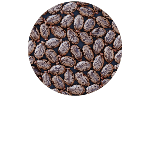 Castor Oil Organic