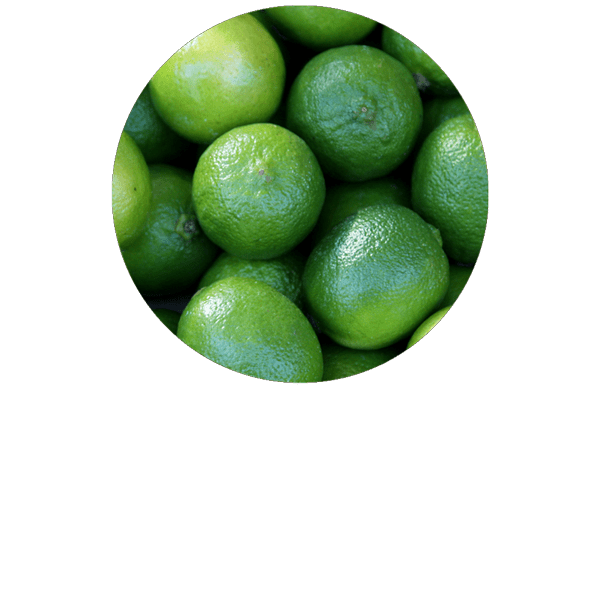 Citron vert BIO