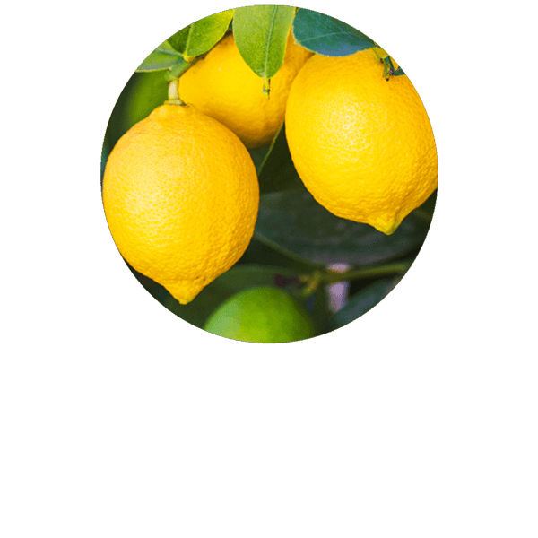 Lemon Organic