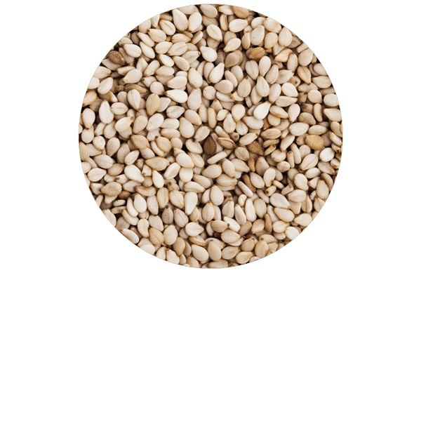 Sesame Organic