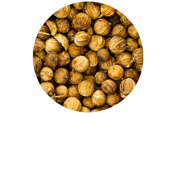 Coriander Seed Organic