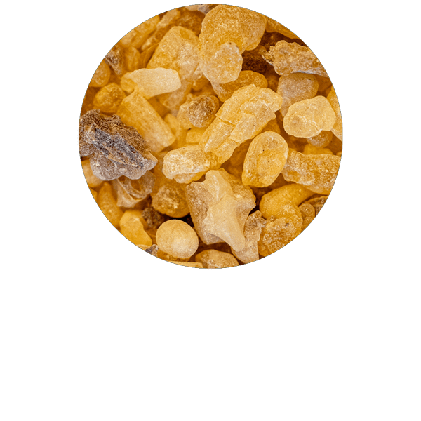 Encens oliban Bio