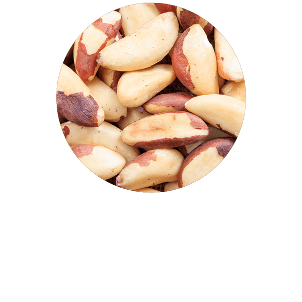 Brazil Nut Organic
