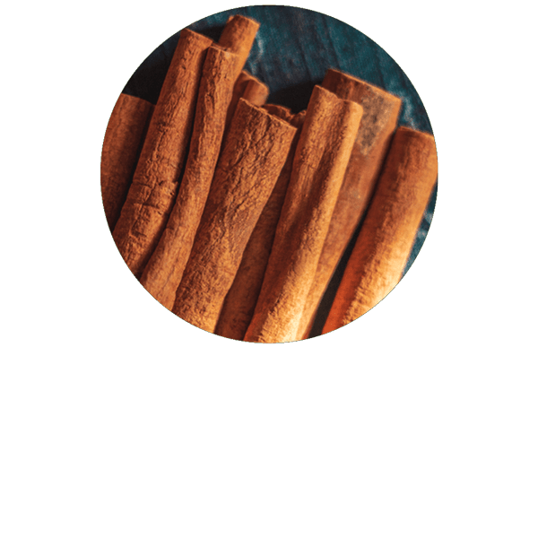 Cannelle de Chine BIO
