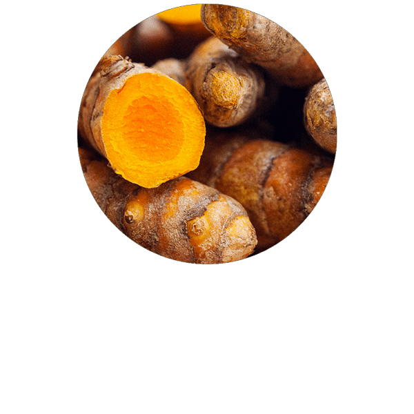 Turmeric Organic