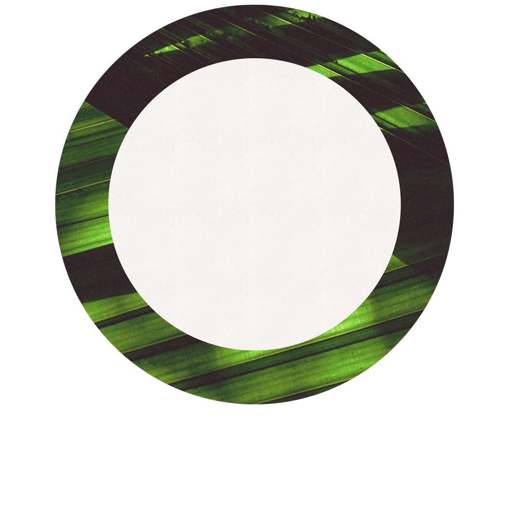 Midori Berry