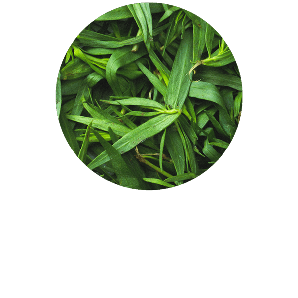 Tarragon Organic