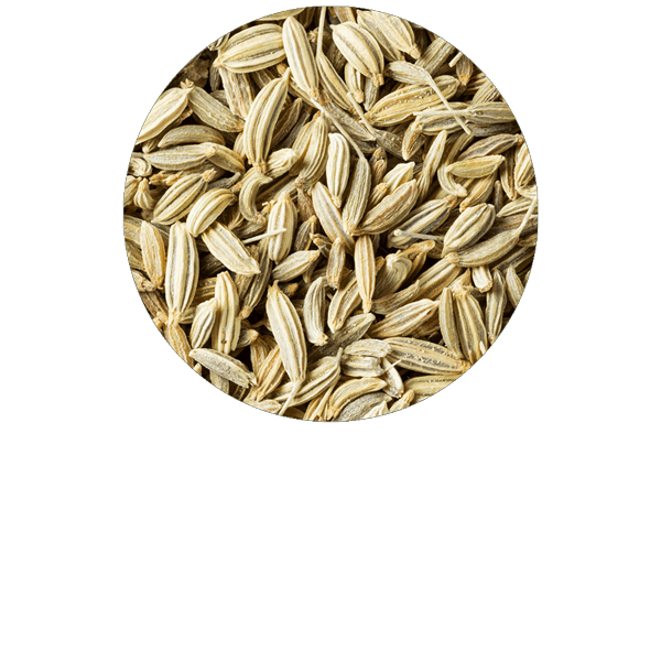 Fenouil doux BIO