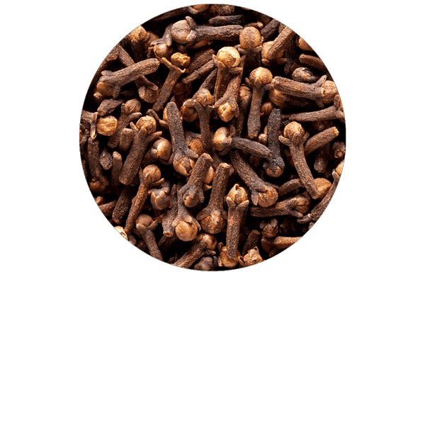 Clou de girofle BIO