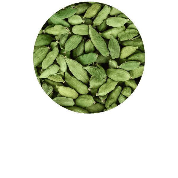 Cardamome BIO
