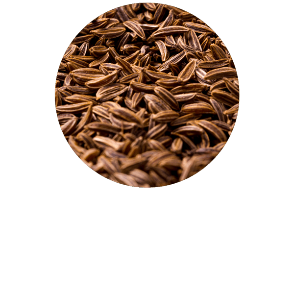 Caraway Organic