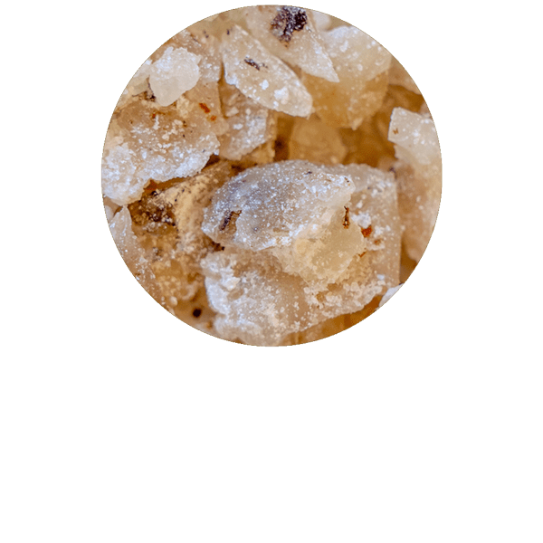 Elemi