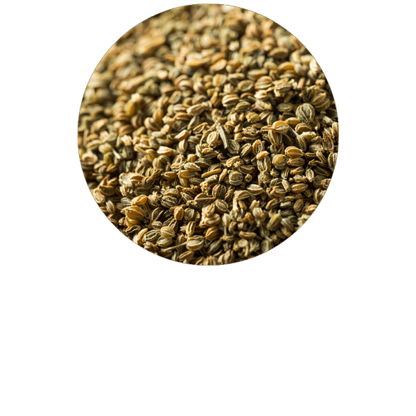Celery Seed