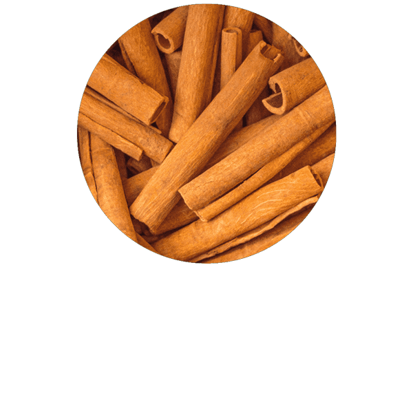 Cannelle écorce BIO