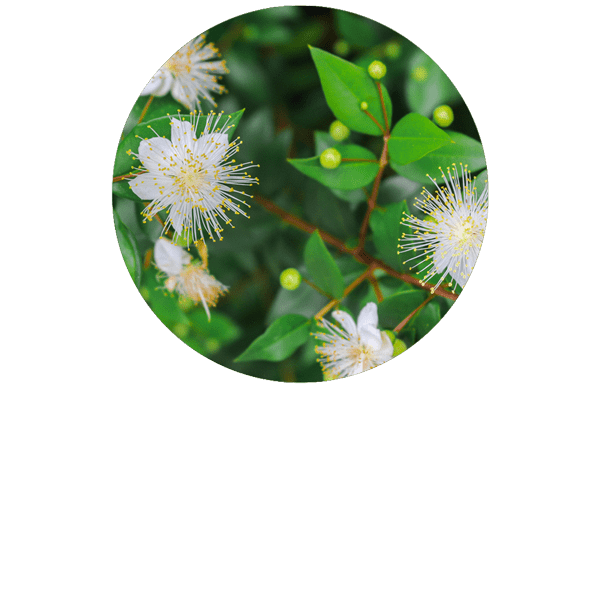 Myrte BIO