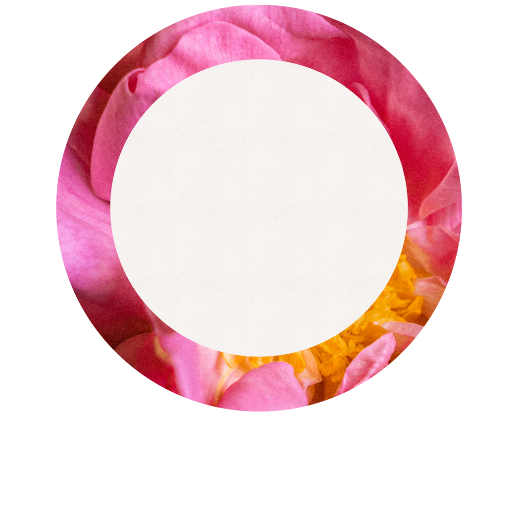 Rose & Rose