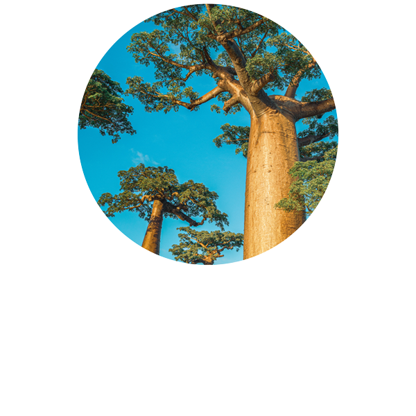 Baobab Bio