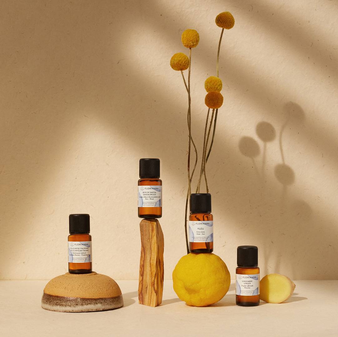 Samarada uy qurilishi erotikasi