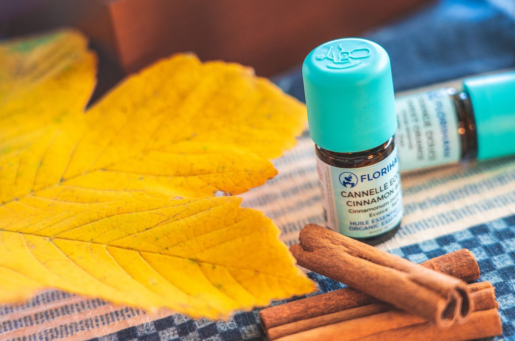 Les essentiels de l’automne