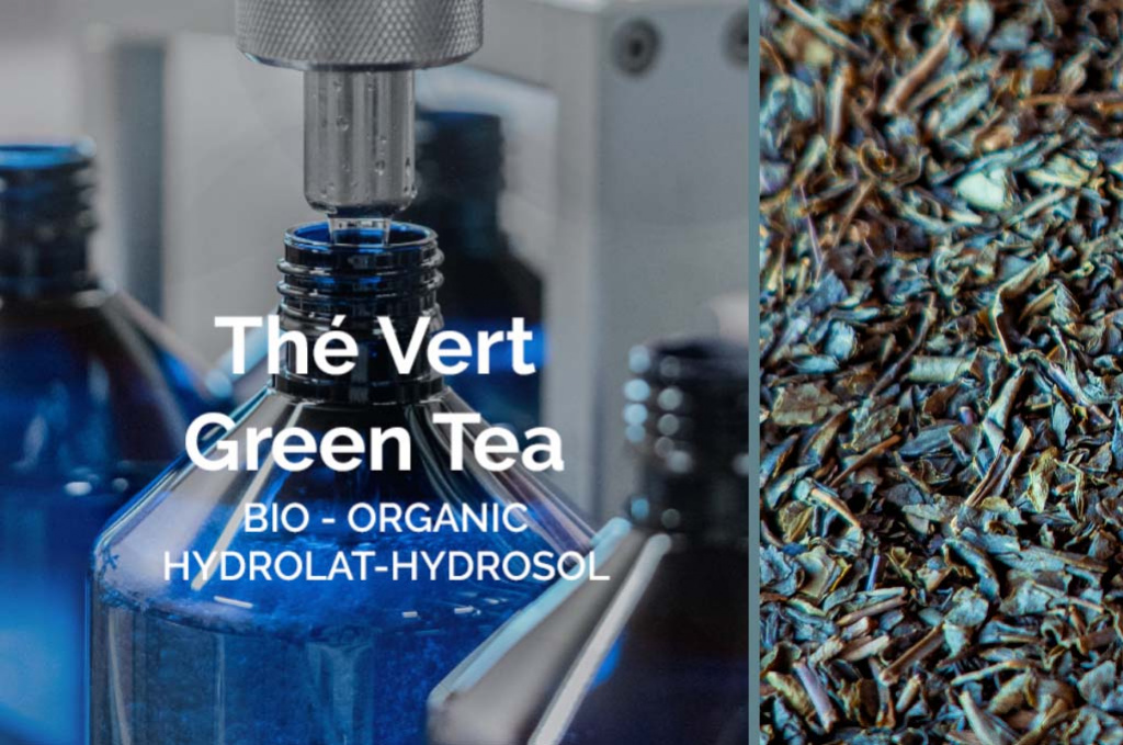 Organic Green Tea Hydrosol