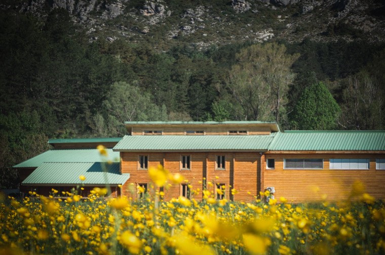 Les bases des huiles essentielles et des hydrolats