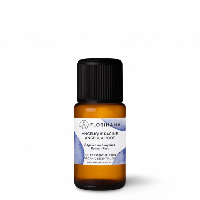 Angelica Root Organic