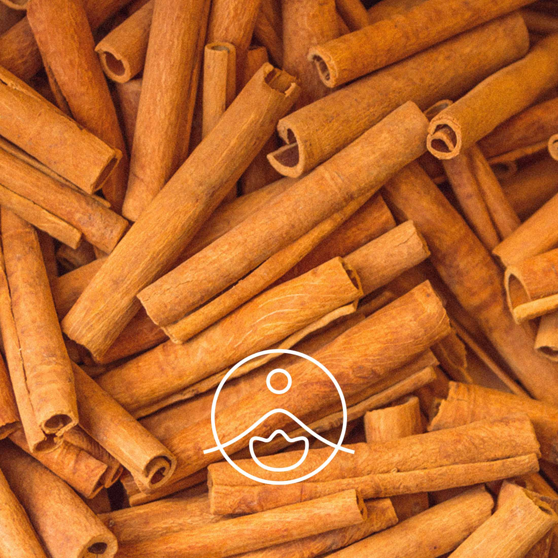 Cinnamon Bark Essential Oil (Madagascar)