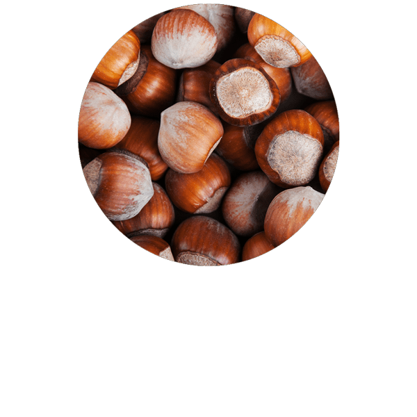Hazelnut Organic