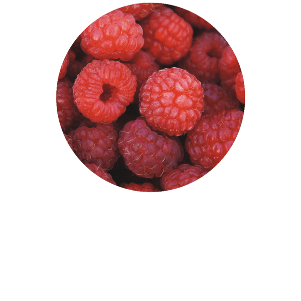 Raspberry Seed Organic