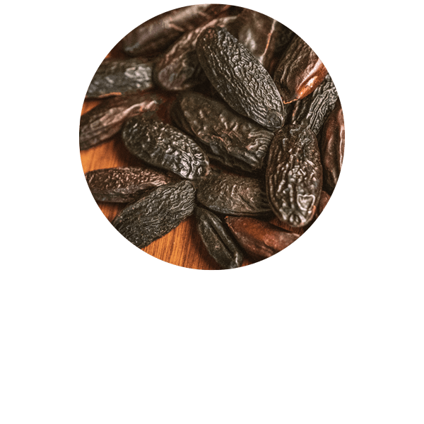 Tonka Bean Absolute