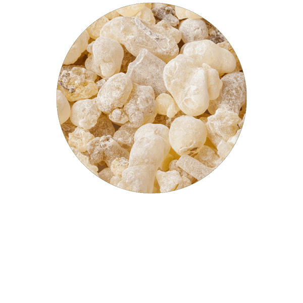 Copaiba Organic