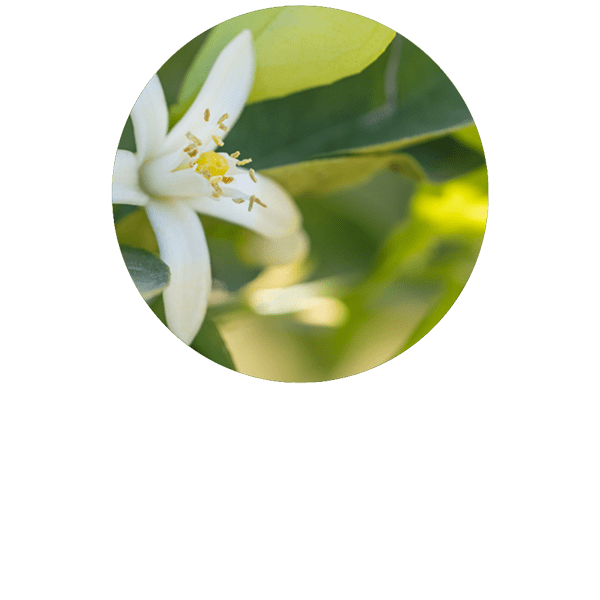 Neroli Organic